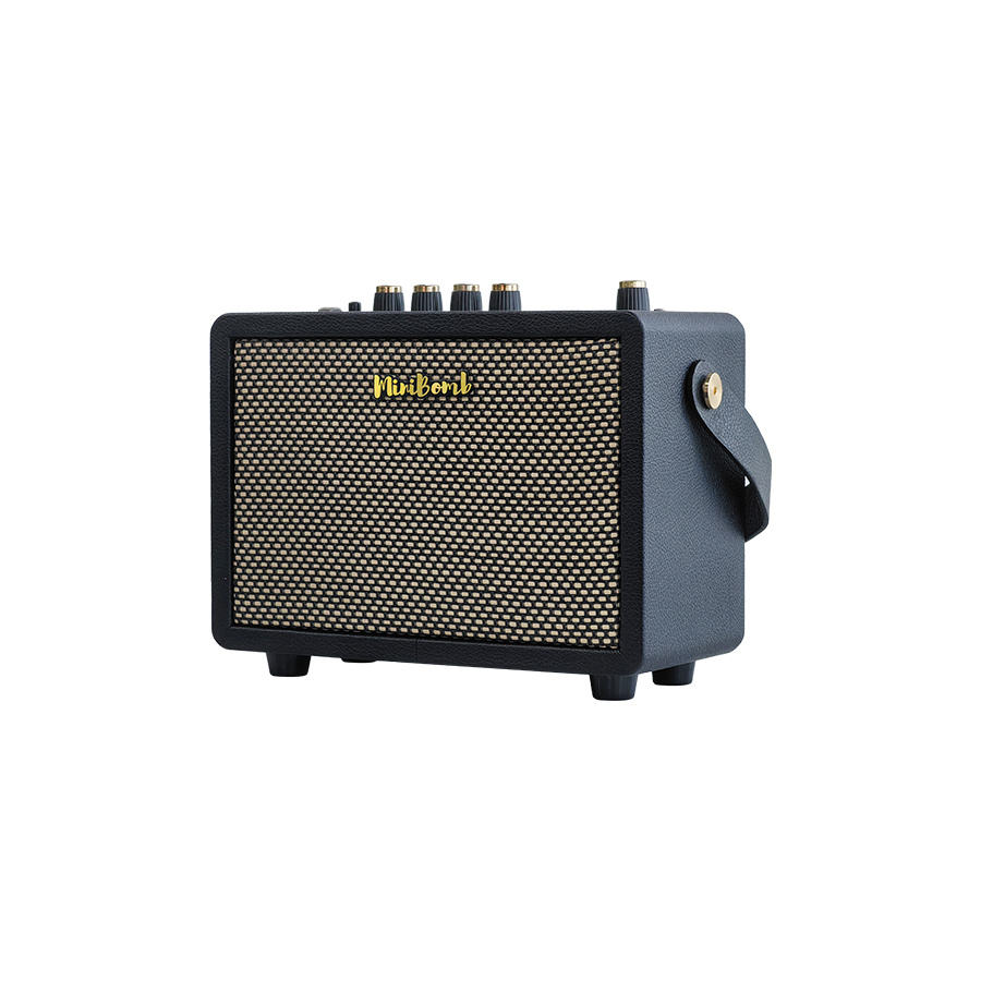 Wzmacniacz do gitary elektrycznej DK Technology iG-10Pro